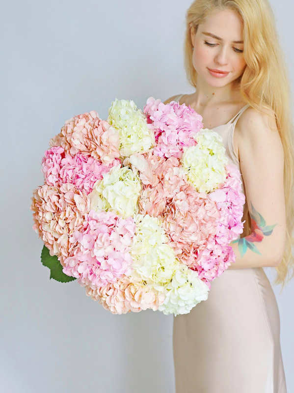 БУКЕТ 15 ГОРТЕНЗИЙ БУКЕТ 15 ГОРТЕНЗИЙ