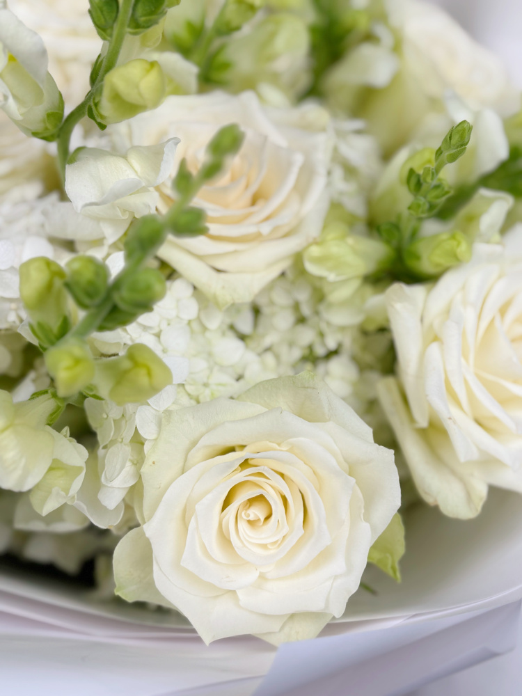 БУКЕТ С БЕЛОЙ РОЗОЙ И ГОРТЕНЗИЕЙ БУКЕТ С БЕЛОЙ РОЗОЙ И ГОРТЕНЗИЕЙ