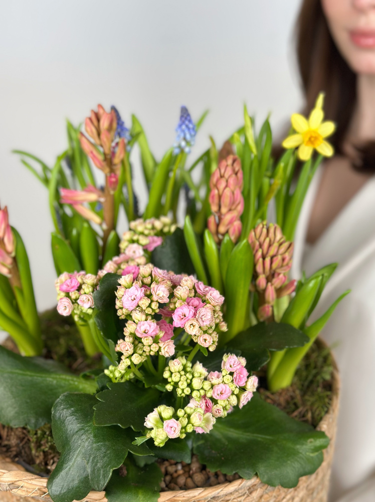 КОРЗИНА С ЛУКОВИЧНЫМИ ВЕСЕННИМИ ЦВЕТАМИ №4