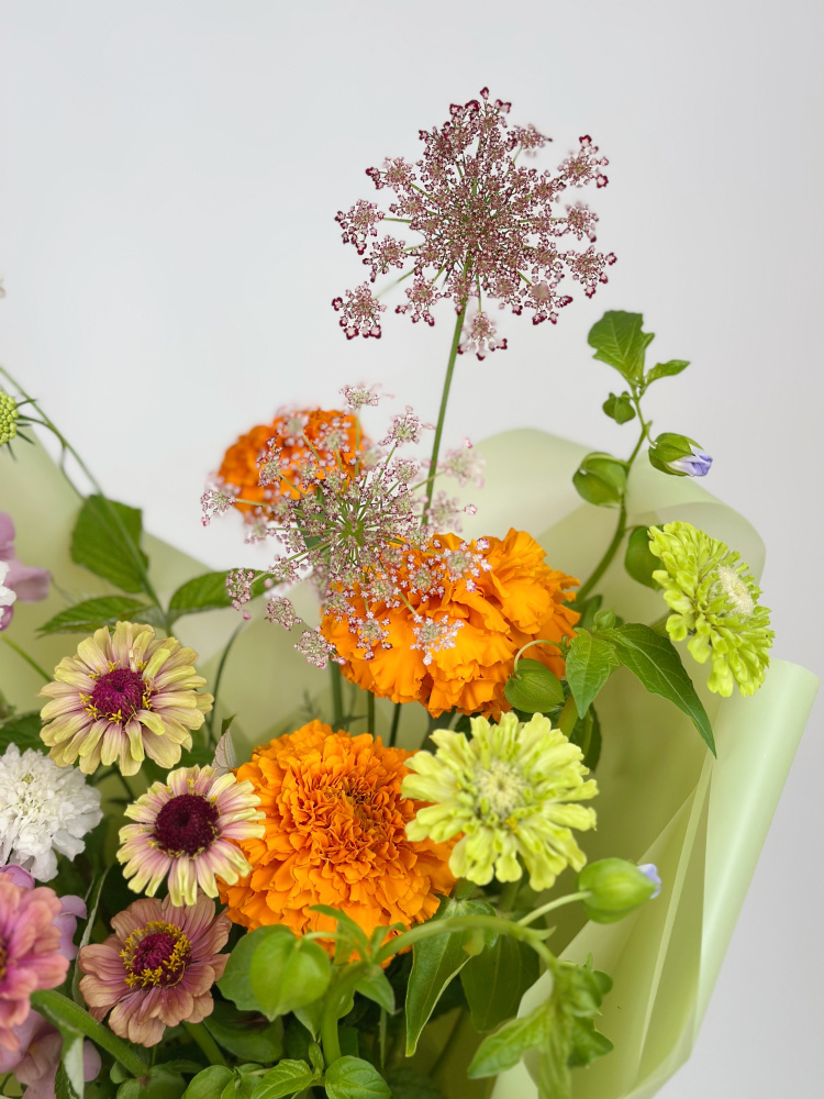 БУКЕТ С ЦИННИЕЙ И ДРУГИМИ ФЕРМЕРСКИМИ ЦВЕТАМИ БУКЕТ С ЦИННИЕЙ И ДРУГИМИ ФЕРМЕРСКИМИ ЦВЕТАМИ